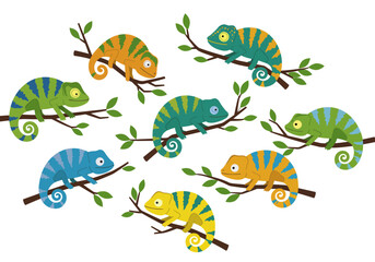Multiple chameleons sit on branches with leaves © dhorido studio
