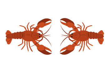 Two mirrorimage cartoon lobsters face each other on a white background