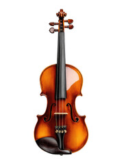 Wooden violin, polished finish