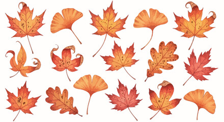 Obraz premium Watercolor clip art set of autumn leaves including maple, oak and ginkgo with burnt orange to crimson colors