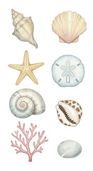 Watercolor Clip Art Set of Oceanic Treasures Shells, Starfish, Coral, and More – Ocean-Themed Illustrations