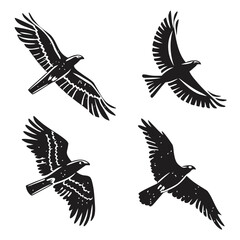 Four Black Silhouette Birds in Flight on White Background Keywords: bird, flying, eagle, hawk