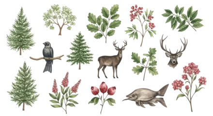 Rideaux  Watercolor collection of forest wildlife with deer, bird, fish, trees, and botanical elements  © vectorT