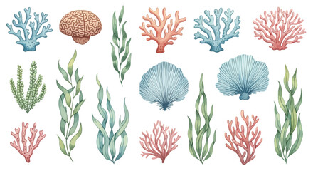 Watercolor coral reef and seaweed illustration set for aquatic design and decoration