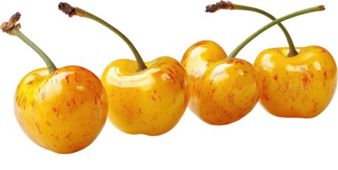 Four vibrant yellow cherries with red streaks, stems, and a black background
