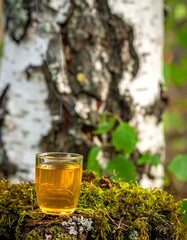 Tranquil drink on mossy log