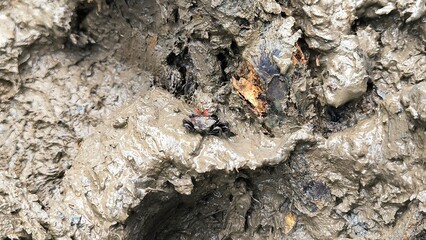 Detailed view of wet, clumpy mud and soil, revealing the intricate texture of natural earth after rain, suitable for gardening or environmental projects