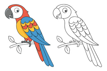 Colorful and outline parrot on a branch macaw bird
