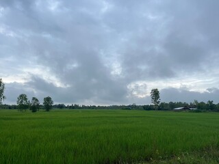 Cloudy Fields: The expansive green field under a sky painted with dramatic cloud formations, conveying a sense of serenity.