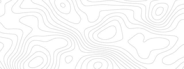 Dynamic topography texture white background. Geographic mountain relief. Seamless pattern with lines topographic map. Business concept backdrop.