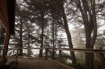 Foggy View from a Rustic Wooden Deck on the California Coast
