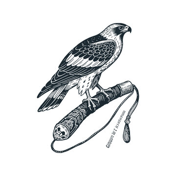 Falconry tartary gear. Black white hand drawn vector illustration.