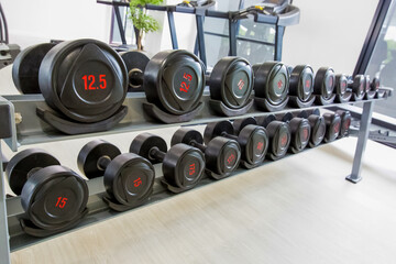 Close up dumbbell weights on rack in gym