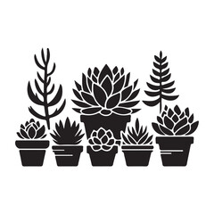 Succulents vector illustration on a white background.Simple design,perfect for various uses.