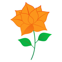 orange bougainvillea flower line art on white background