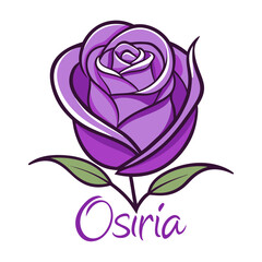 osiria purple rose