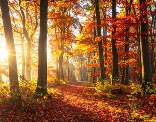 Autumnal Splendor Sunlight Filtering Through a Forest of Vibrant Colors