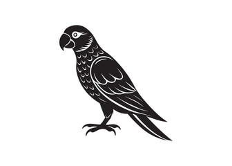 Parrot silhouette isolated vector illustration of exotic tropical bird design.