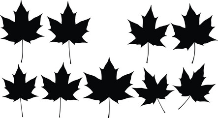 Black maple leaf silhouettes collection, autumn foliage design, natural leaf vector, fall season graphic, botanical plant illustration, decorative leaf pattern art