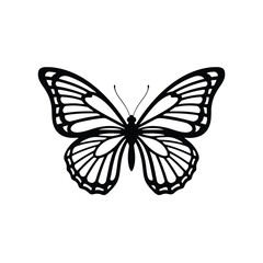 Obraz premium Vector illustration of illustration of black and white butterfly illustration