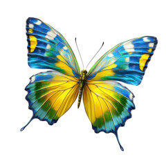 Fototapeta premium Colorful Blue and Yellow Butterfly Isolated on White