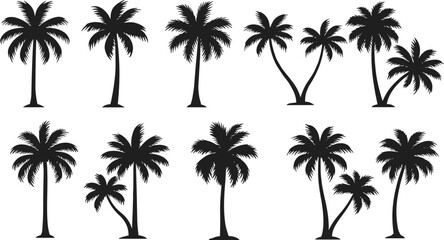 Palm tree silhouette vector collection, tropical coconut tree illustration, exotic island beach design, summer holiday artwork, paradise nature decorative palm graphics