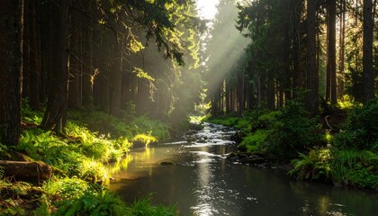 Obraz premium A serene forest scene, river flowing through a sunlit green woodland. Sunlight streams, illuminating trees and water