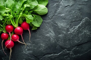 Fresh radishes with its leaves on a dark stone background
