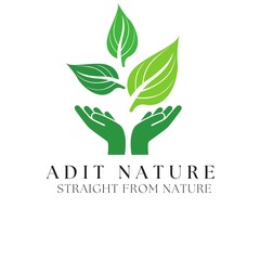 eco friendly logo Hand holding leaf symbol of human responsibility and care for nature