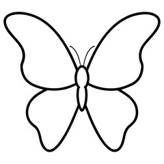 butterfly vector illustration