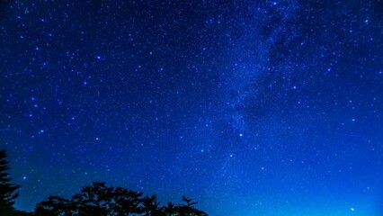 大台ヶ原山で見た夏の星空と天の川の情景