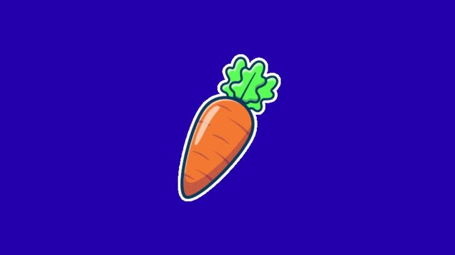 vector illustration of a carrot