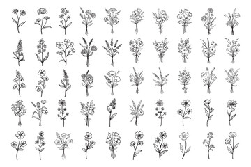 Plant hand drawn vector, set of flower branch and leaves illustration

