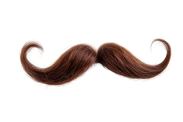 Brown curly moustache isolated on transparent background. Majestic chestnut brown hair mustache curled at the ends isolated on white background.