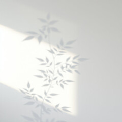 Minimalistic abstract light grey wall background for product presentation with sunlight shadow of plant leaves