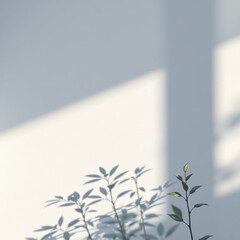 Minimalistic abstract light grey wall background for product presentation with sunlight shadow of plant leaves