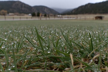 Dew-kissed grass field with mountains in the background