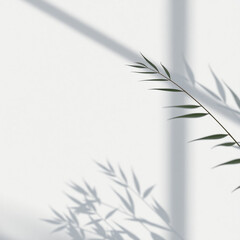 Minimalistic abstract light grey wall background for product presentation with sunlight shadow of plant leaves
