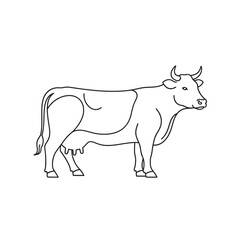 Obraz premium Cow Line Drawing Illustration 