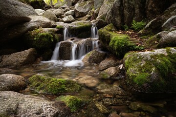 Mountain waterfall with wild water rushing over rocks and green moss, perfect for nature and outdoor photography.