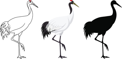 Red-crowned crane in line art, color, and silhouette illustration