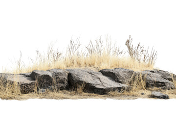 Fototapeta premium Dry grasses growing on rocks isolated on transparent background. Savanna with faded grass and rocks isolated on white background.