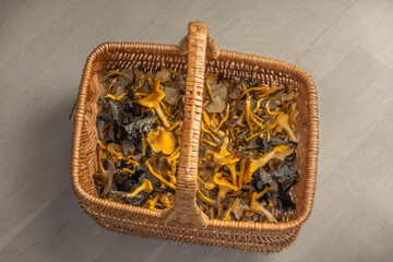 Stockholm, Sweden A wicker basket filled with Chanterelle mushrooms.