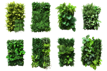 Collection of lush green artificial plant panels isolated on transparent background. Set of green garden walls from tropical plants isolated on white background.