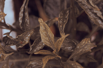 Bright and Colorful Scenery Stunning Visual Art