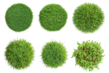 Round green moss patches isolated on transparent background. Set of green lawns isolated on white background.