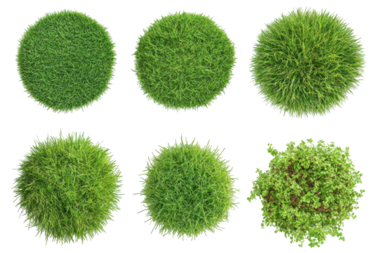 Round green moss patches isolated on transparent background. Set of green lawns isolated on white background. - Powered by Adobe