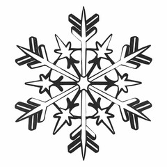 A detailed black and white hand drawn illustration of a snowflake with six points and intricate crystalline patterns isolated on a white background