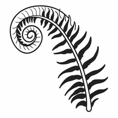 Obraz premium Elegant black and white silhouette of a unfurling fern frond with a distinct spiral shape at the tip on a clean white background