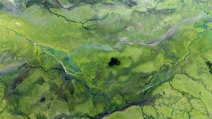 aerial view of wetland